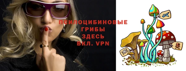 винт Нягань