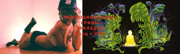 сатива Нязепетровск