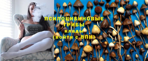 винт Нягань