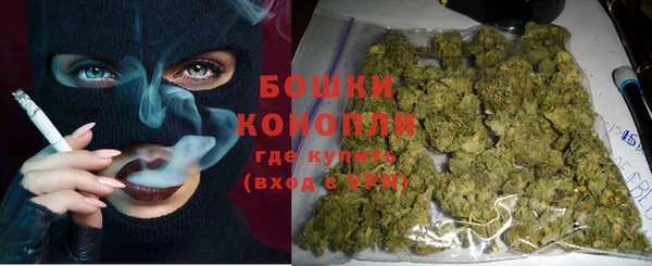 сатива Нязепетровск