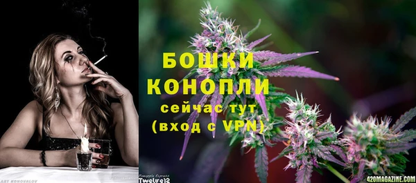 винт Нягань
